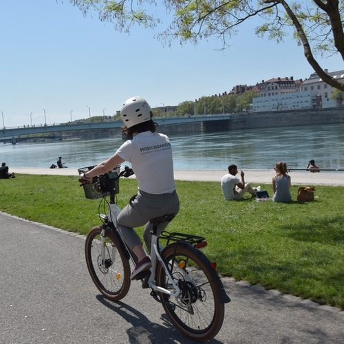 Mobilboard